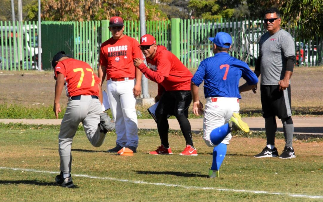 Venados realizará visoria infantil para torneo de la LMP