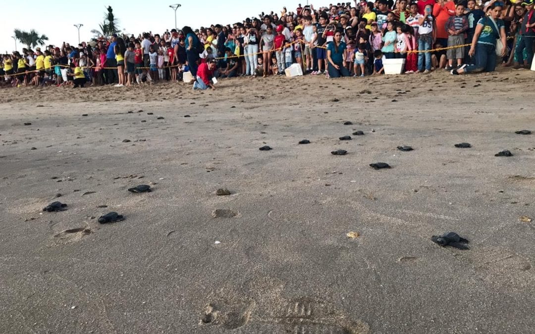 Se traslada festejo de GMP a la playa